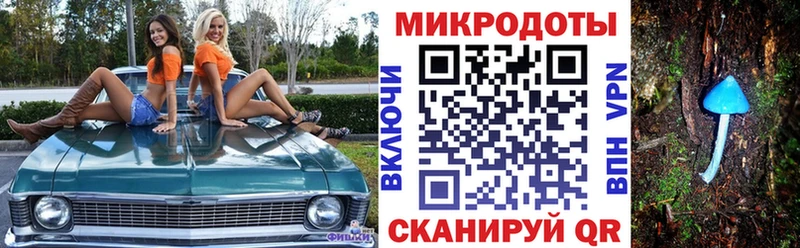 Галлюциногенные грибы Psilocybine cubensis  закладка  Спасск 